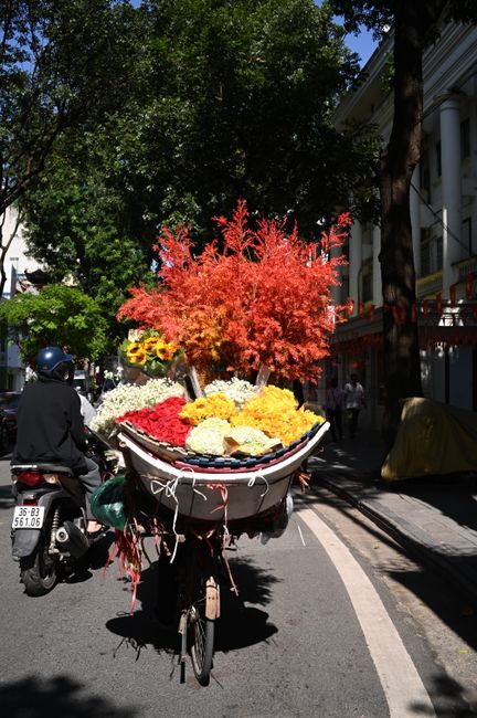 A bicycle with a large floral arrangement mounted on the front, featuring a vibrant red-orange foliage centerpiece surrounded by yellow, white, and red blooms. The flowers are arranged in a basket or 